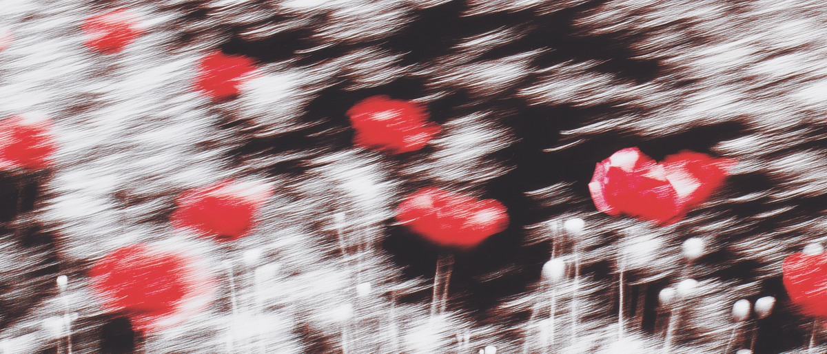 Motion blur photograph of red poppies against a streaked black and white background